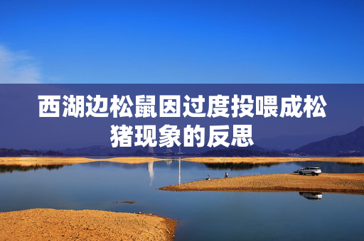 西湖边松鼠因过度投喂成松猪现象的反思