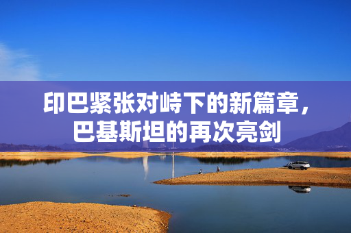 印巴紧张对峙下的新篇章，巴基斯坦的再次亮剑