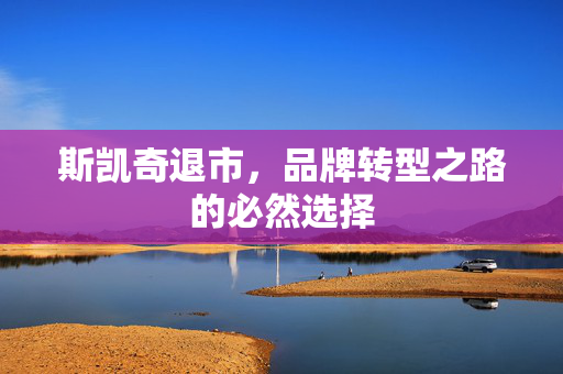 斯凯奇退市，品牌转型之路的必然选择
